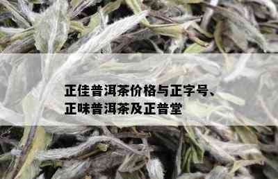 正佳普洱茶价格与正字号、正味普洱茶及正普堂