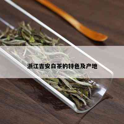 浙江吉安白茶的特色及产地