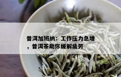 普洱加班纳：工作压力急增，普洱茶助你缓解疲劳