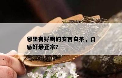 哪里有好喝的安吉白茶，口感好最正宗？