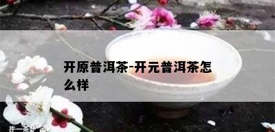 开原普洱茶-开元普洱茶怎么样