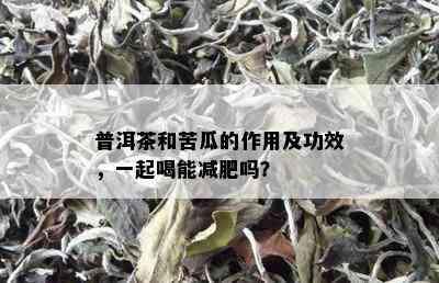 普洱茶和苦瓜的作用及功效，一起喝能减肥吗？