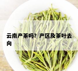 云南产茶吗？产区及茶叶去向