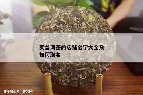 买普洱茶的店铺名字大全及如何取名