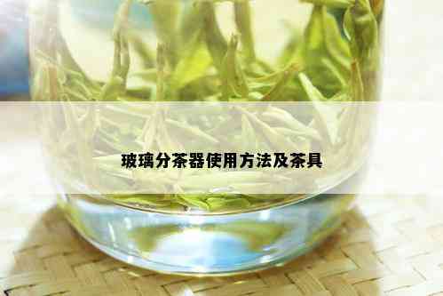 玻璃分茶器使用方法及茶具