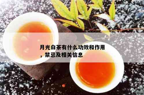 月光白茶有什么功效和作用，禁忌及相关信息