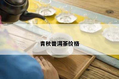 青秋普洱茶价格