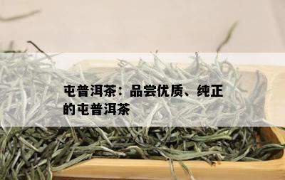 屯普洱茶：品尝优质、纯正的屯普洱茶