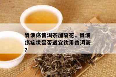 胃溃疡普洱茶加菊花，胃溃疡症状是否适宜饮用普洱茶？