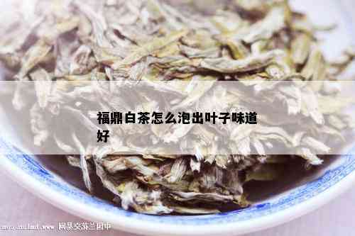 福鼎白茶怎么泡出叶子味道好