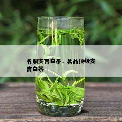 名鼎安吉白茶，茗品顶级安吉白茶