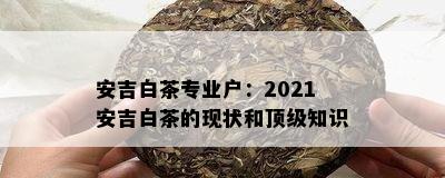 安吉白茶专业户：2021安吉白茶的现状和顶级知识