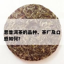 恩普洱茶的品种、茶厂及口感如何？