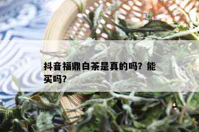 抖音福鼎白茶是真的吗？能买吗？