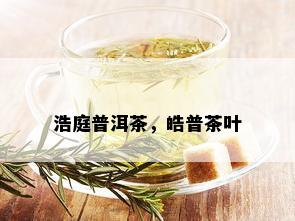 浩庭普洱茶，皓普茶叶