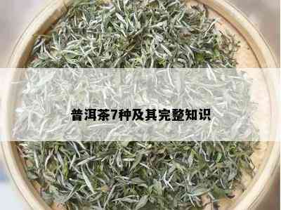 普洱茶7种及其完整知识