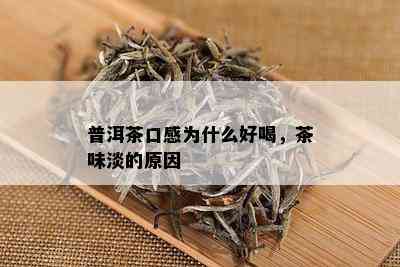 普洱茶口感为什么好喝，茶味淡的原因