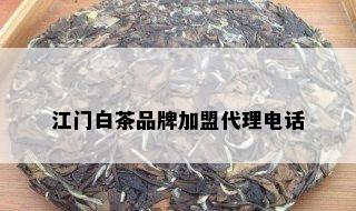 江门白茶品牌加盟代理电话