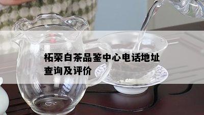 柘荣白茶品鉴中心电话地址查询及评价