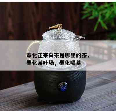 奉化正宗白茶是哪里的茶，奉化茶叶场，奉化喝茶