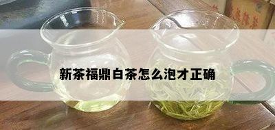 新茶福鼎白茶怎么泡才正确