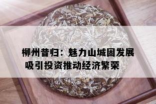 柳州昔归：魅力山城固发展 吸引投资推动经济繁荣