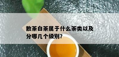 散茶白茶属于什么茶类以及分哪几个级别？