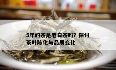 5年的茶是老白茶吗？探讨茶叶陈化与品质变化