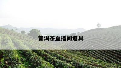 普洱茶直播间道具