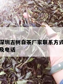 深圳古树白茶厂家联系方式及电话