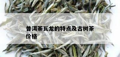 普洱茶瓦龙的特点及古树茶价格