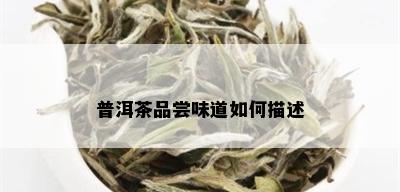 普洱茶品尝味道如何描述