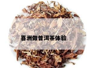 喜洲做普洱茶体验