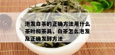 泡发白茶的正确方法用什么茶叶和茶具，白茶怎么泡发及正确发酵方法