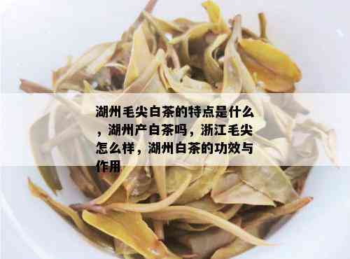 湖州毛尖白茶的特点是什么，湖州产白茶吗，浙江毛尖怎么样，湖州白茶的功效与作用