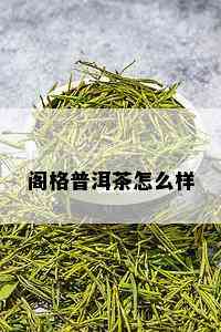 阁格普洱茶怎么样