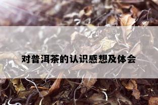 对普洱茶的认识感想及体会