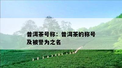 普洱茶号称：普洱茶的称号及被誉为之名