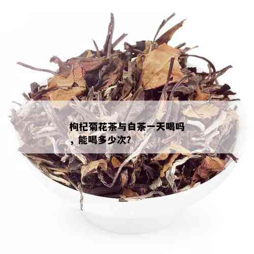 枸杞菊花茶与白茶一天喝吗，能喝多少次？