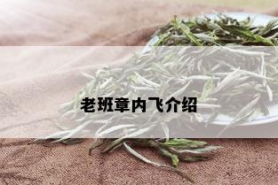 老班章内飞介绍