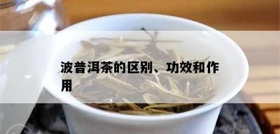 波普洱茶的区别、功效和作用