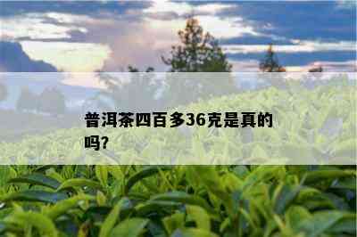 普洱茶四百多36克是真的吗？