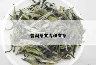 普洱茶文库和文章