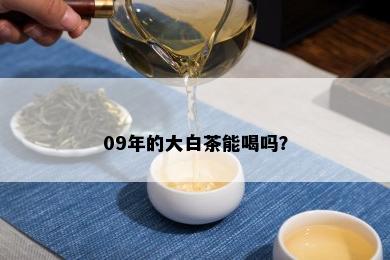 09年的大白茶能喝吗？