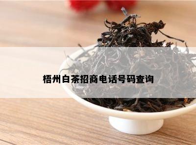 梧州白茶招商电话号码查询