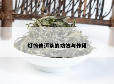 灯盏普洱茶的功效与作用