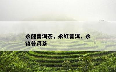 永健普洱茶，永红普洱，永镇普洱茶