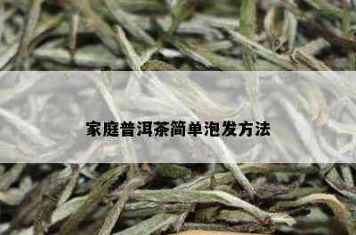 家庭普洱茶简单泡发方法