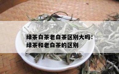 绿茶白茶老白茶区别大吗：绿茶和老白茶的区别