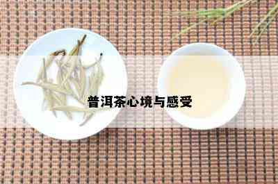 普洱茶心境与感受